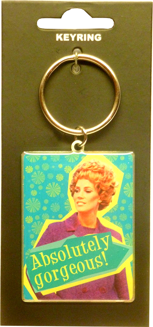 Absolutely Gorgeous Retro Humour Metal Keyring