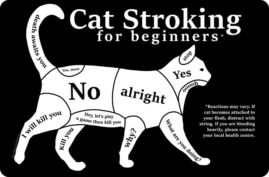 Cat Lovers - Cat Stroking For Beginners Small Tin Sign